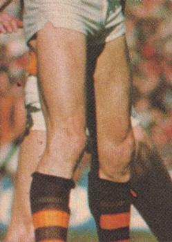 1977 Scanlens VFL #85 Reg Gleeson Back